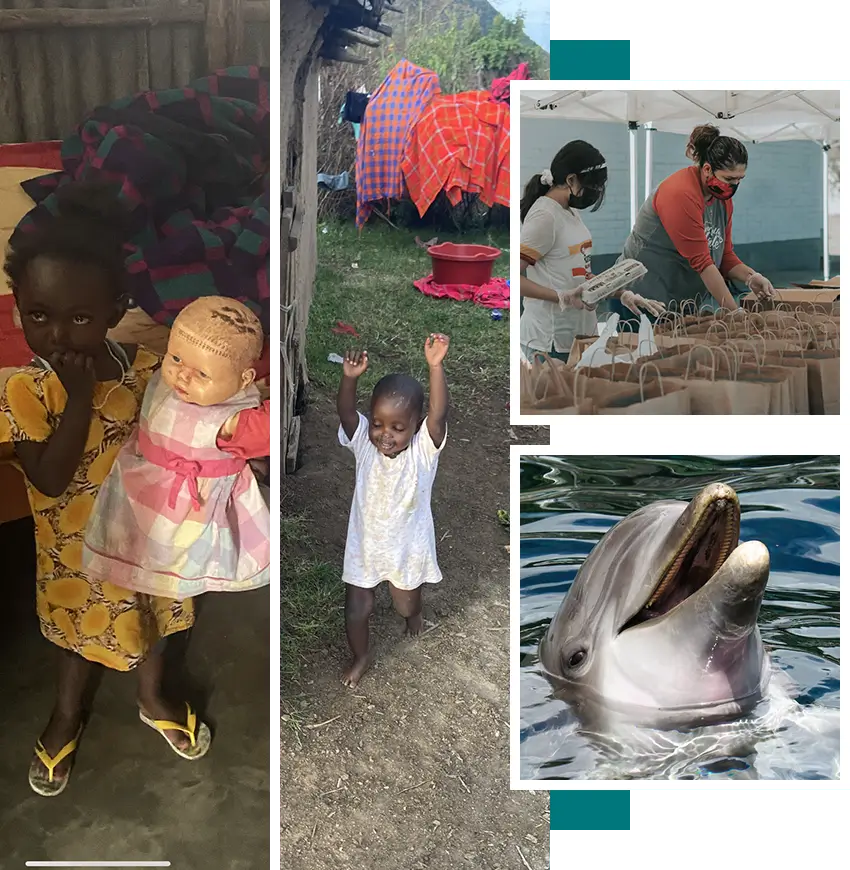 A collage of photos with children and animals.